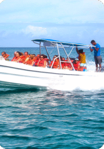 tour to isla saona in punta cana
