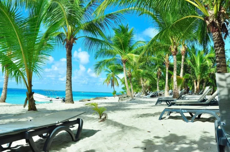 tours in punta cana perico ripiao tours