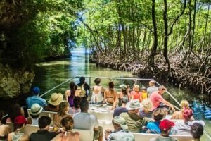 tours en punta cana 3