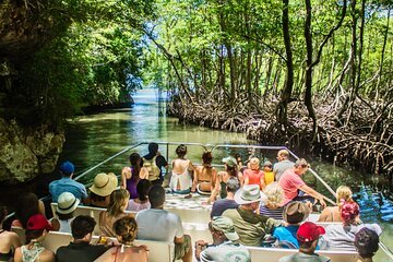 tours en punta cana 3