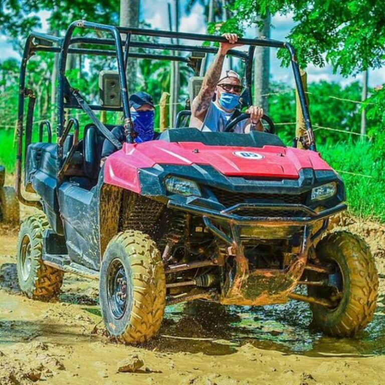 Buggy Tour 800x800