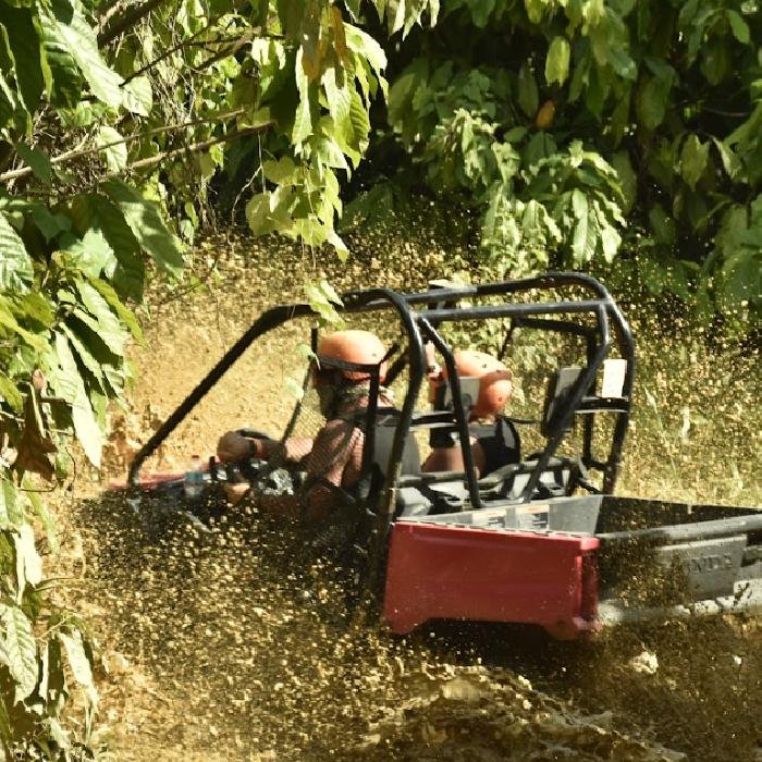 buggy tours punta cana