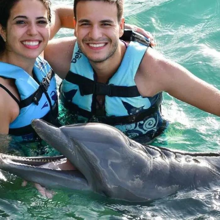 dolphins funtastic tour in punta cana