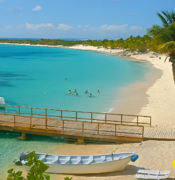 tour a isla catalina con snorkeling