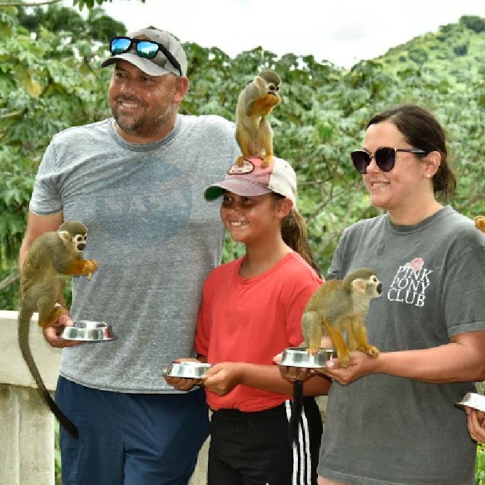 tours in punta cana monkey land tour