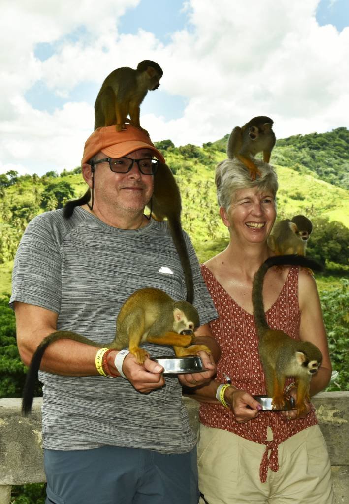 monkeyland tour home