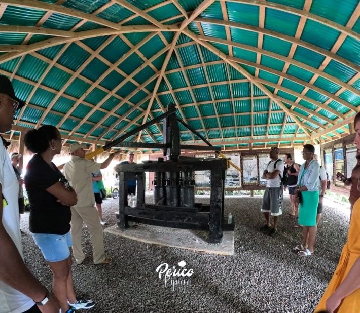 tour vivencial en republica dominicana