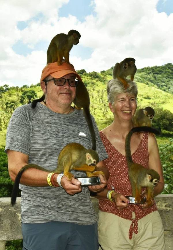 monkey land tour in punta cana