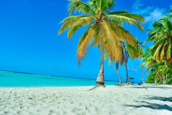 Saona Island by Speed Boat (Shared)