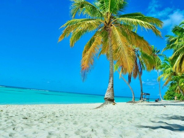 Saona Island by Speed Boat (Shared)