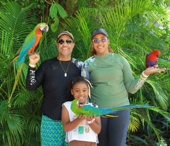 ScapePark — Full Admission – tour in Punta Cana, Dominican Republic