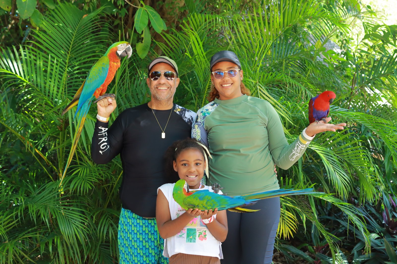 ScapePark — Full Admission – tour in Punta Cana, Dominican Republic