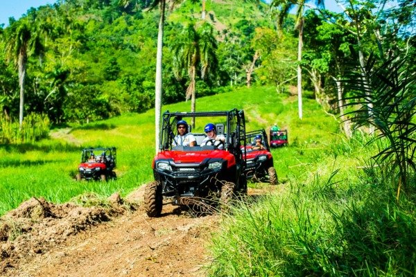 Jungle Buggies — Runners Adventures