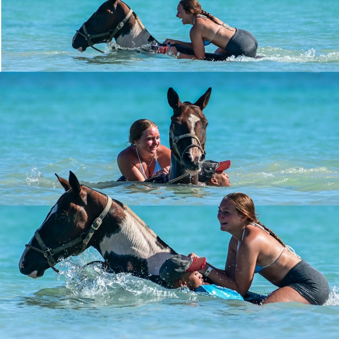 Swim with Horses — Swim Horse Punta Cana – tour in Punta Cana, Dominican Republic