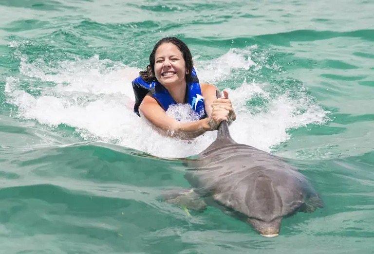 Explorer — Nager avec 1 Dauphin