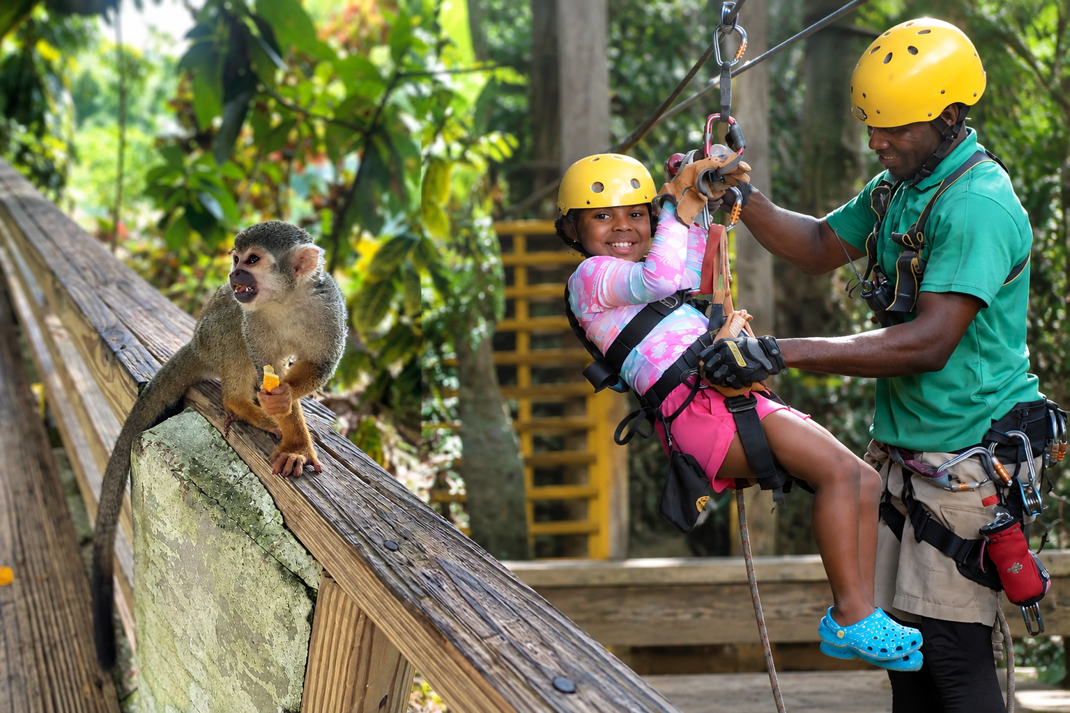 Monkeyland + Zipline – tour in Punta Cana, Dominican Republic