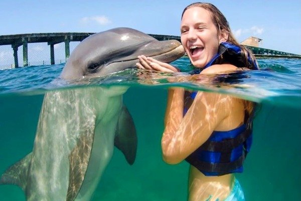 Dolphins Funtastic — Interacción
