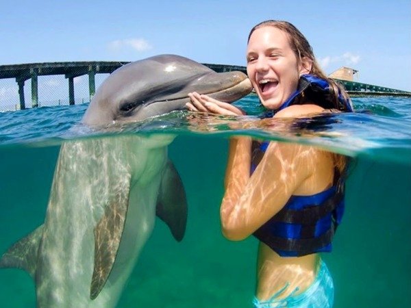 Dolphins Funtastic — Interacción