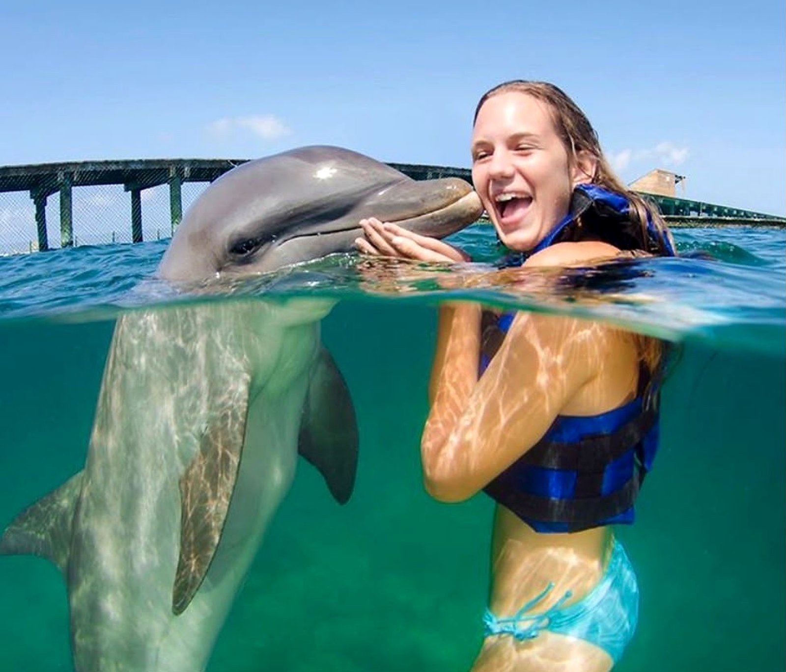 Dolphins Funtastic — Interaction – tour in Punta Cana, Dominican Republic