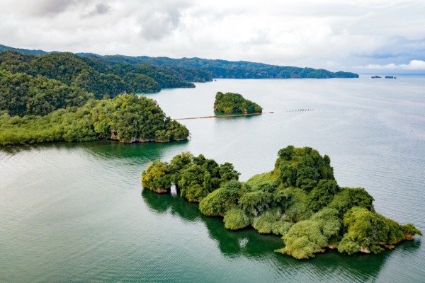 Los Haitises 3-in-1 — Park + Yanigua Waterfall + Round Mountain