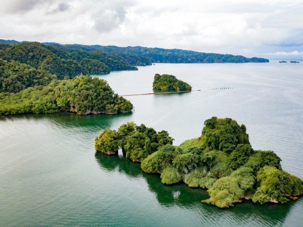 Los Haitises 3 en 1 — Parque + Salto de Yanigua + Round Mountain