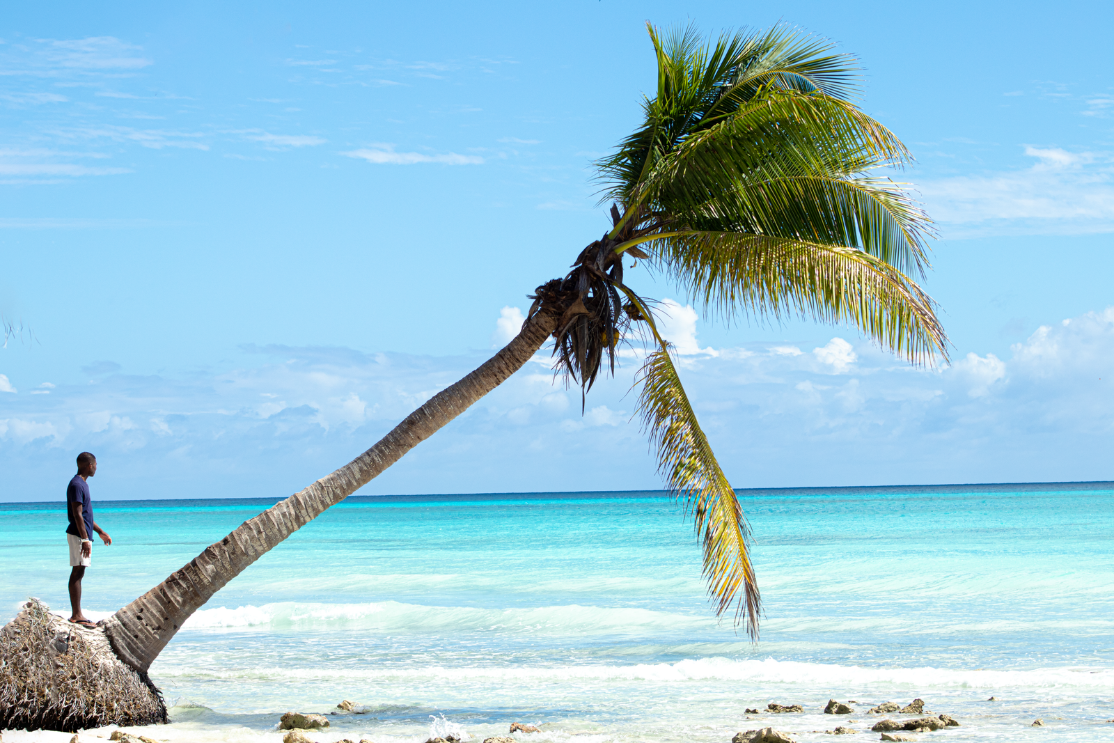 Saona Island beach