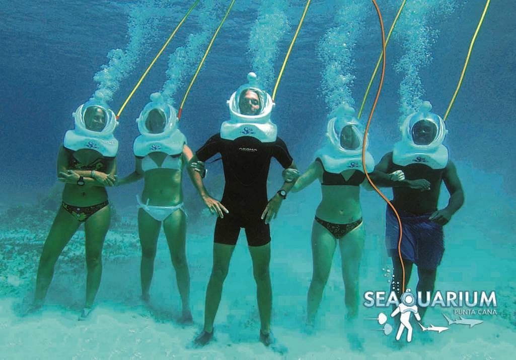 Seaquarium – tour in Punta Cana, Dominican Republic