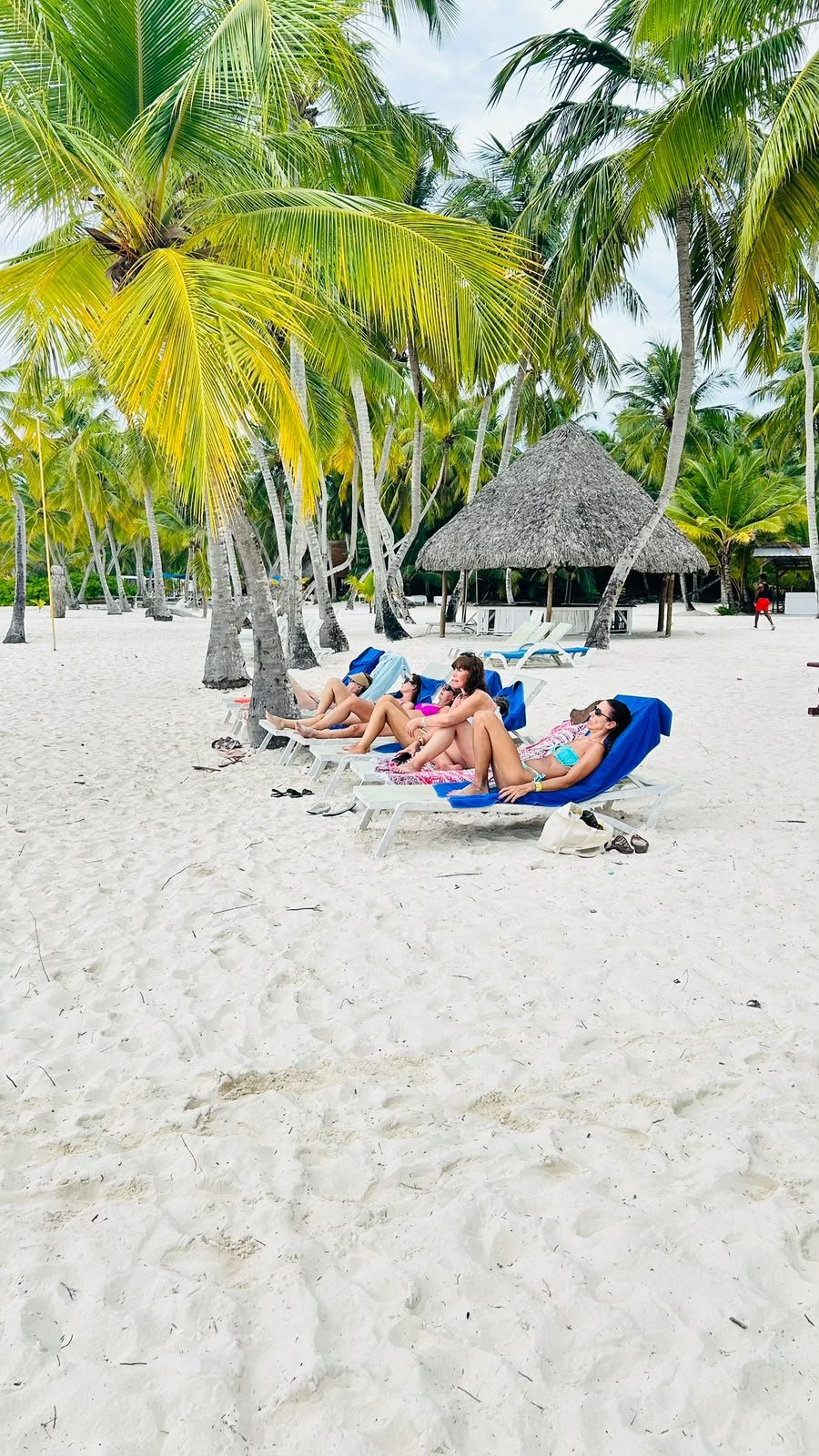 Sun loungers beneath palm trees on Saona Island beach