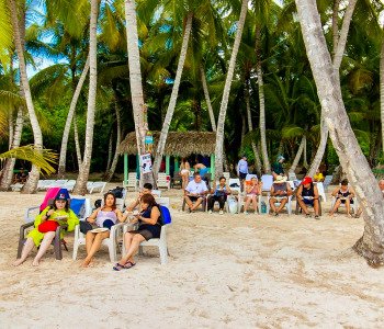 Guests relaxing on the beach beneath palm trees on Saona Island