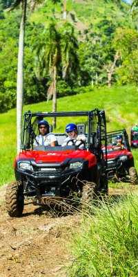 Convoy of buggies driving through palm tree countryside in Punta Cana