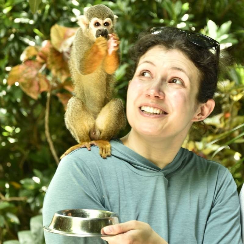 monkeyland 800