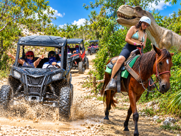 Polaris 4×4 + Horses