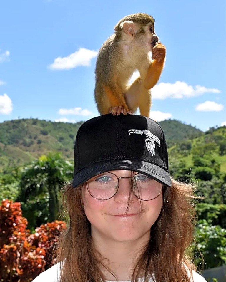 Monkeyland & Plantation