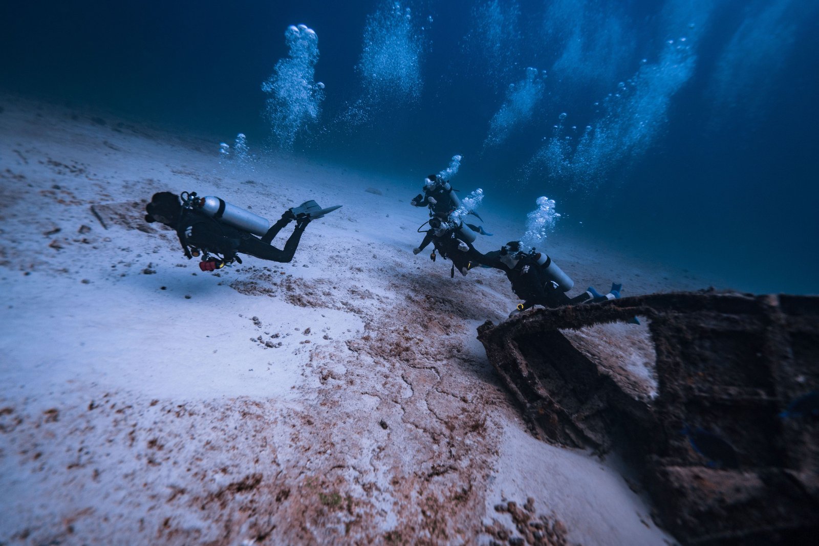 Catalina Island — Two Tanks Dives – tour in Punta Cana, Dominican Republic