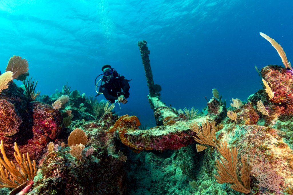 Buceadores nadando junto a formaciones de coral cerca de Isla Catalina