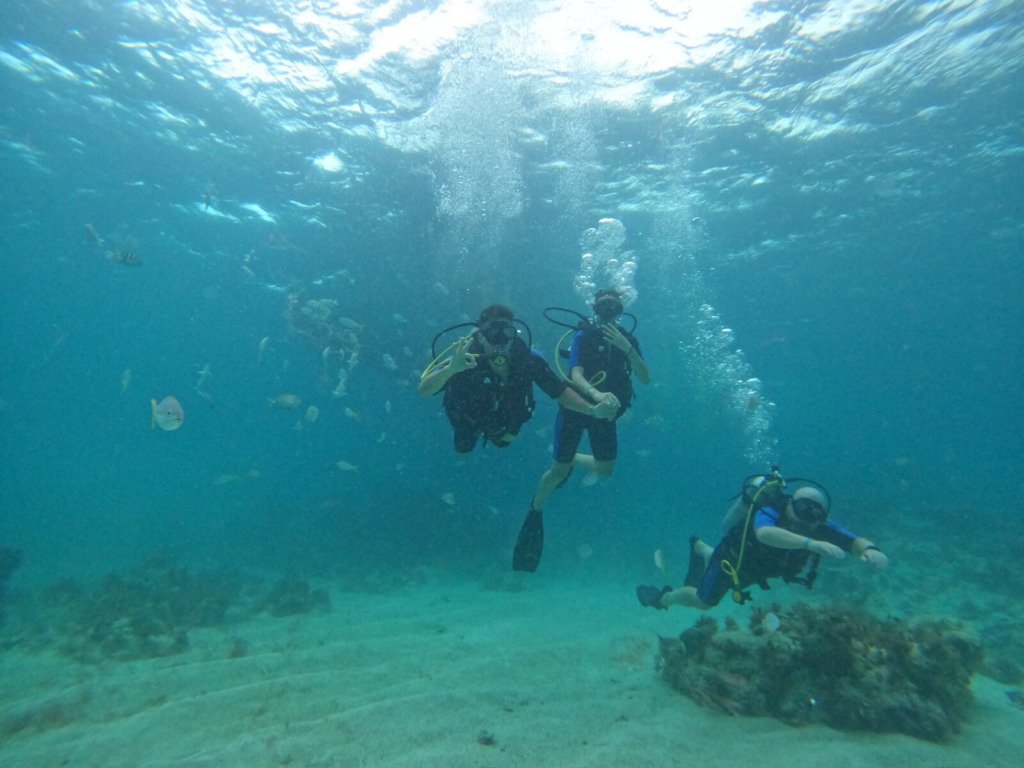 Grupo de buceadores explorando juntos bajo el agua