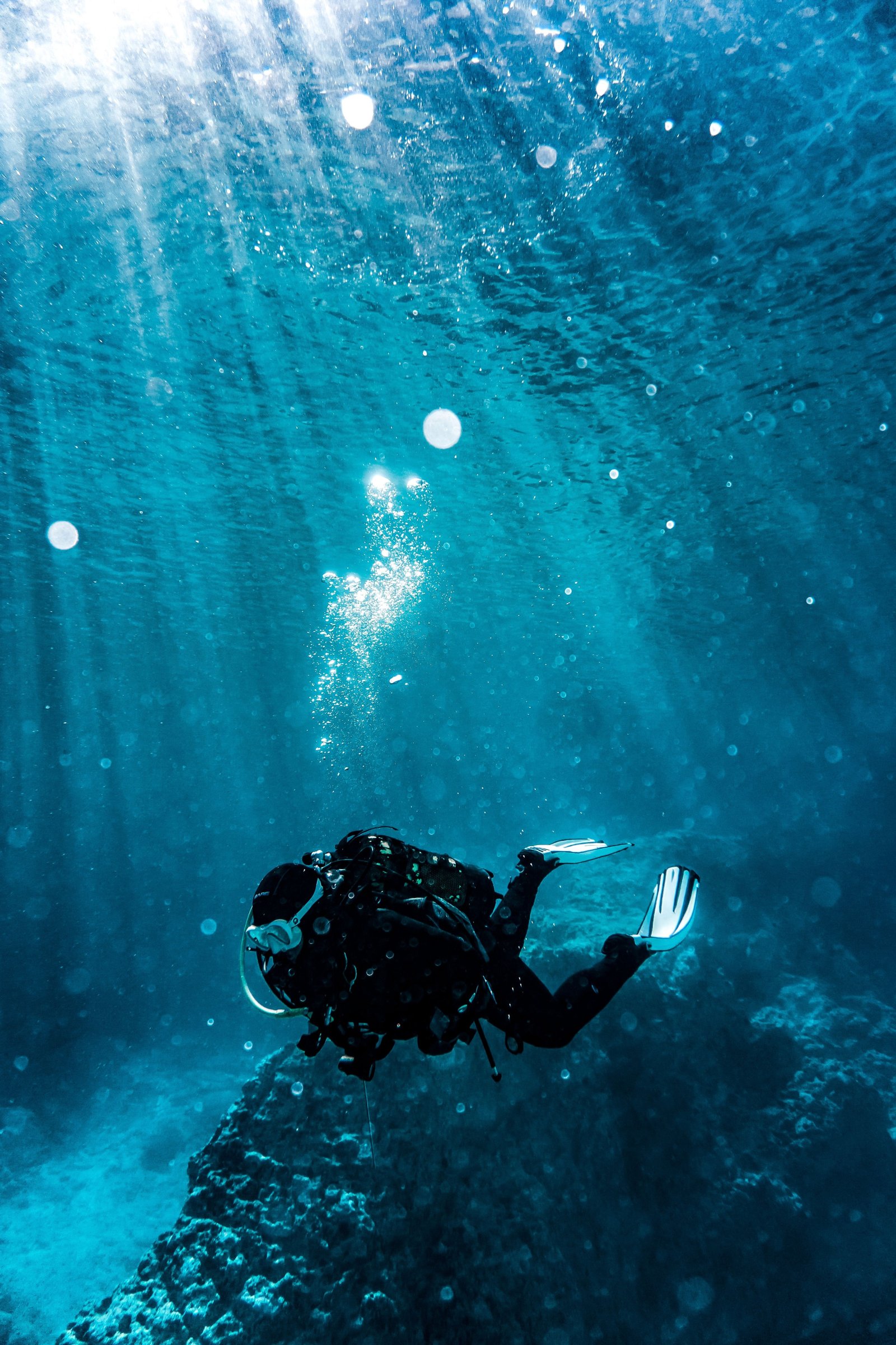 PADI Advanced Open Water Certification – tour in Punta Cana, Dominican Republic