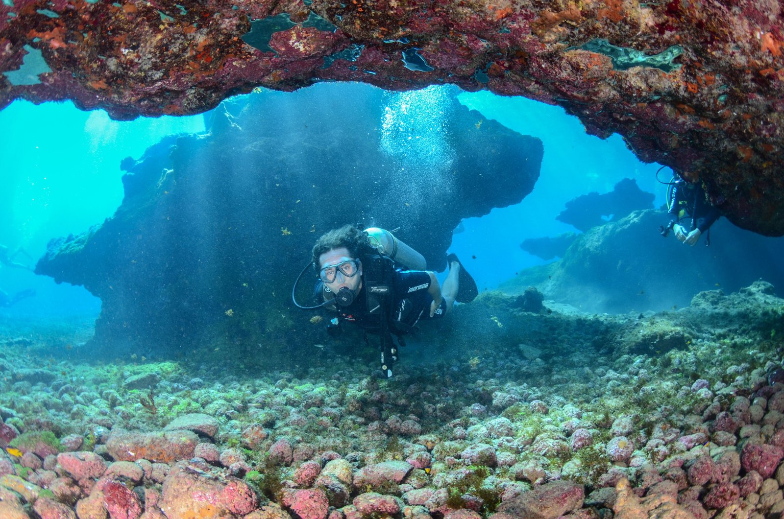 PADI Open Water Certification – tour in Punta Cana, Dominican Republic