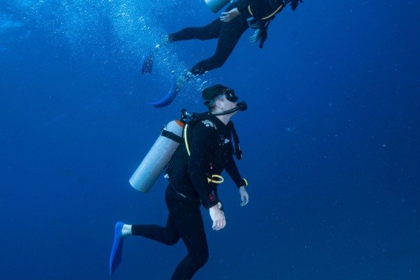PADI Open Water Referral (4 Inmersiones de Entrenamiento)