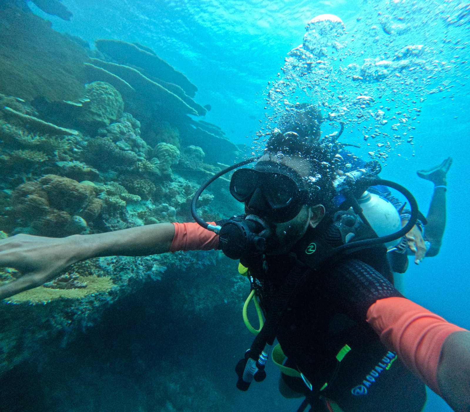 PADI Scuba Diver Certification – tour in Punta Cana, Dominican Republic